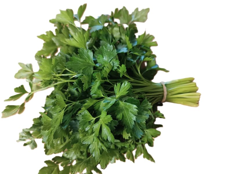 Ferma Sarei Patrunjel Verde