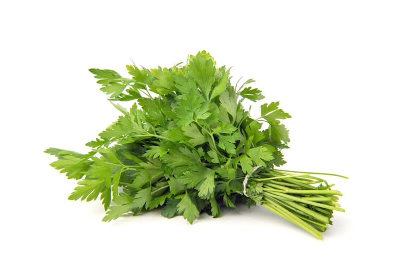 Ferma Sarei Patrunjel Verde