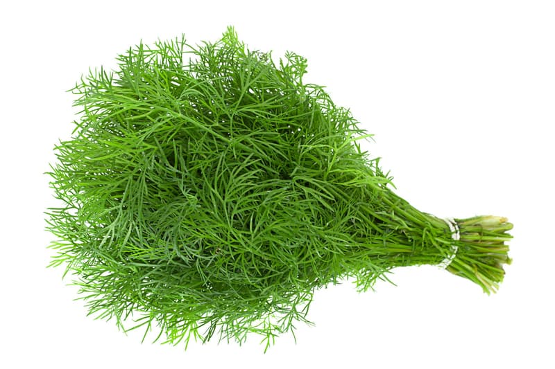 Ferma Sarei Marar