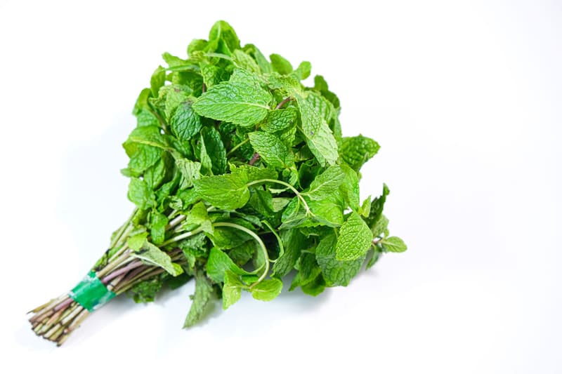 Menta romaneasca legatura