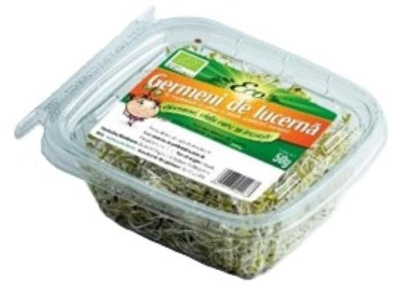 ECO Germeni de lucerna