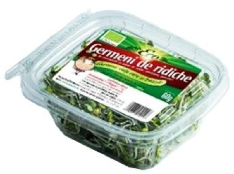 ECO Germeni de ridiche