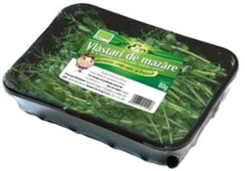 ECO Vlastari de mazare