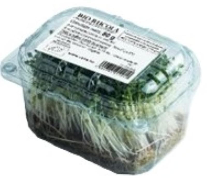 ECO Microverdeturi de rucola