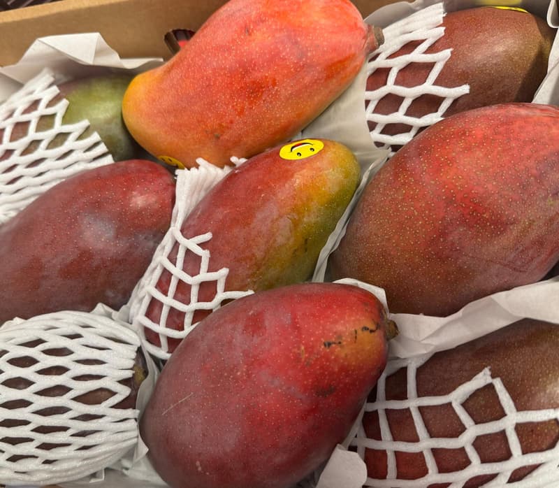 Mango Osteen din Sicilia