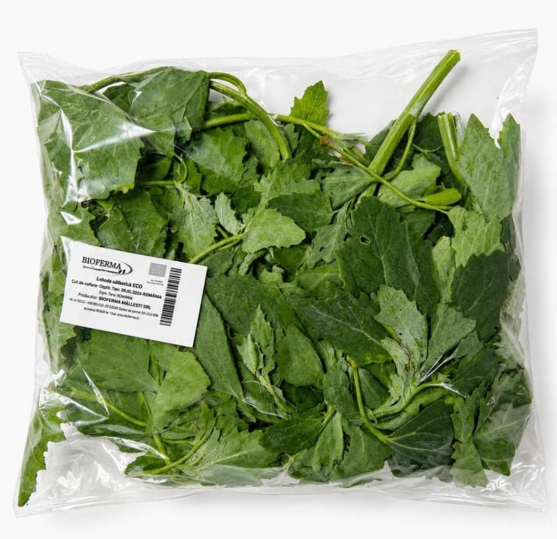 Bioferma Niculesti ECO Loboda 50 Gr