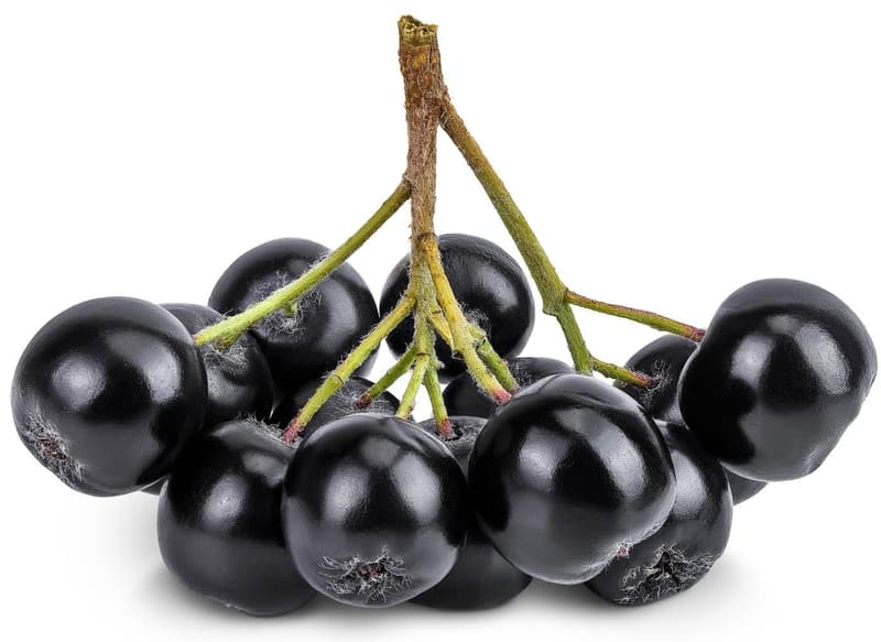 Bioferma Niculesti ECO Aronia