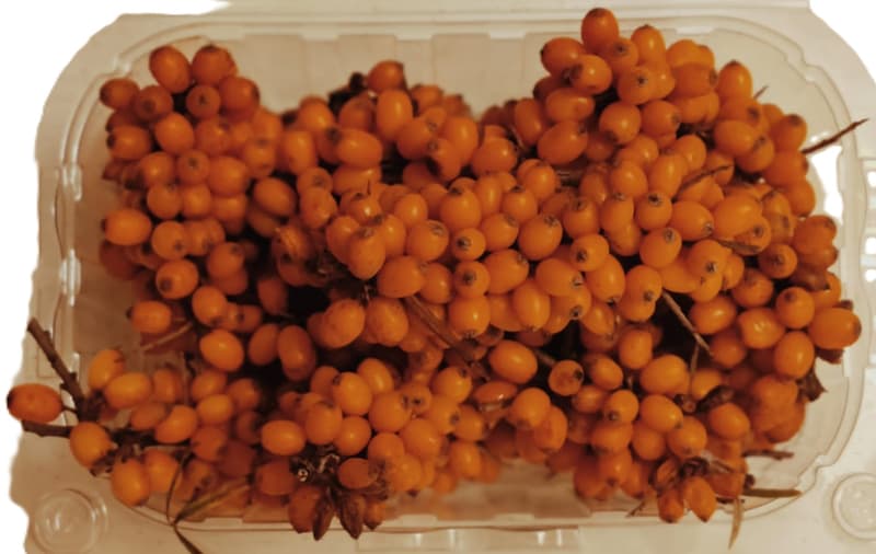 Bioferma Niculesti ECO Catina