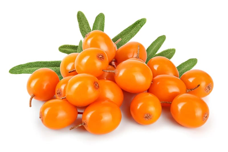 Bioferma Niculesti ECO Catina