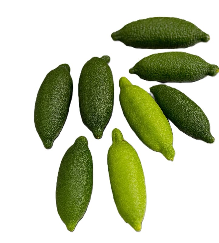 ECO Caviar limes