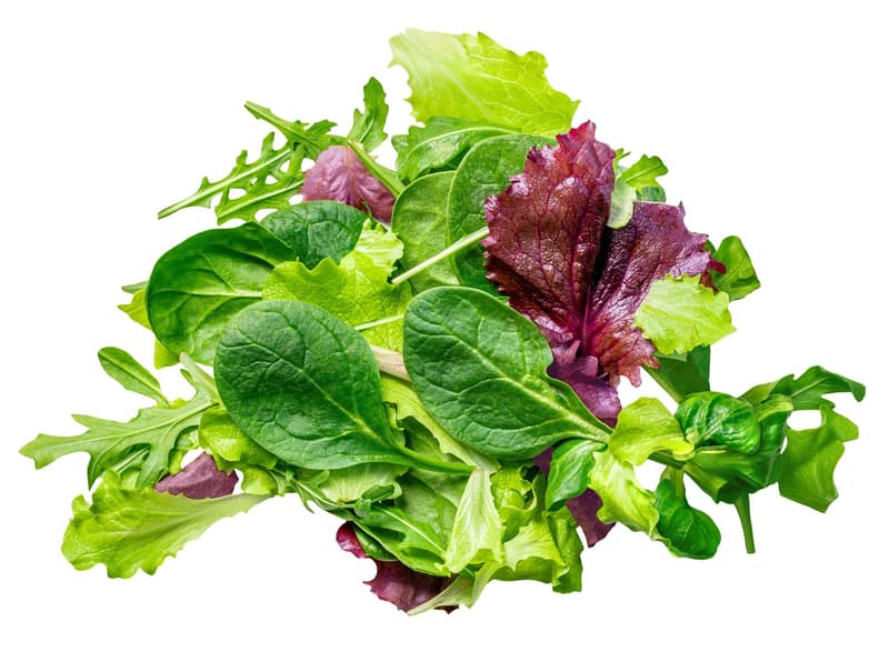 Ferma Sarei ECO Salata Misticanza