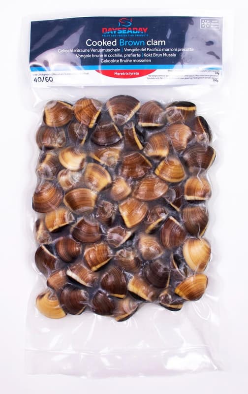 DAYSEADAY Frozen cooked brown clam shell on