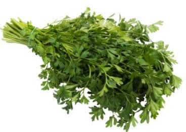 Bioferma Niculesti ECO Patrunjel