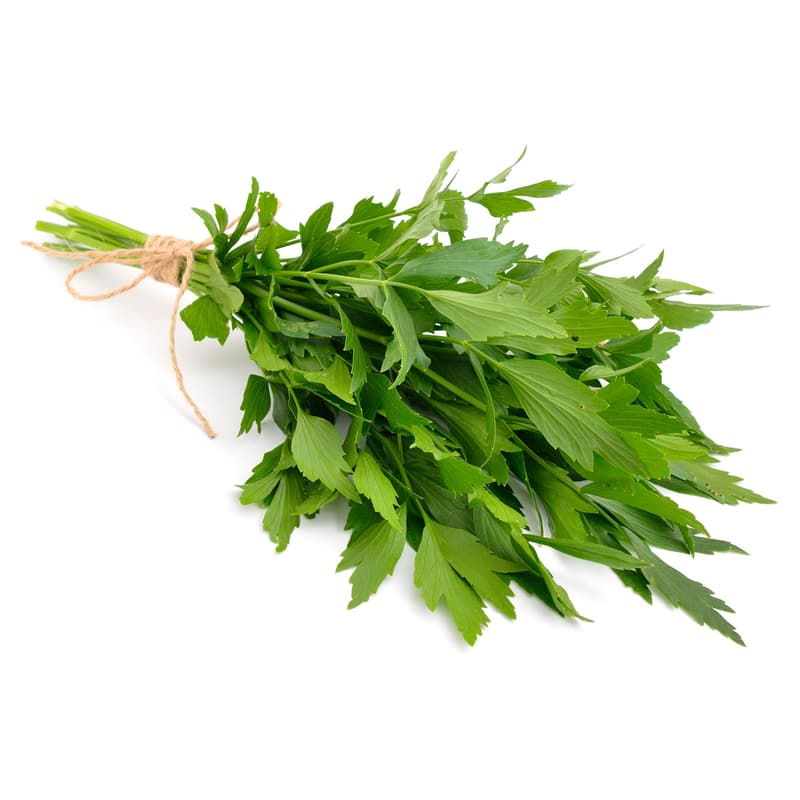 ECO Leustean