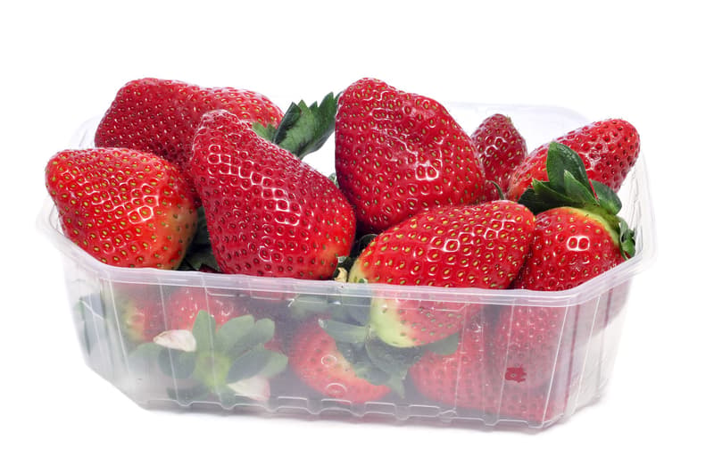 Capsune de Belciugatele Calarasi producator Gruberries caserola mare