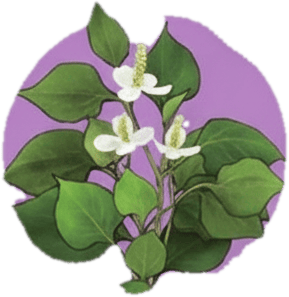 Ariul 7Days PLUS Heartleaf + Panthenol, Masca hidratare și calmare rapida