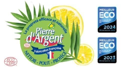LACO Pierre d'Argent ECO Detergent crema multisuprafete
