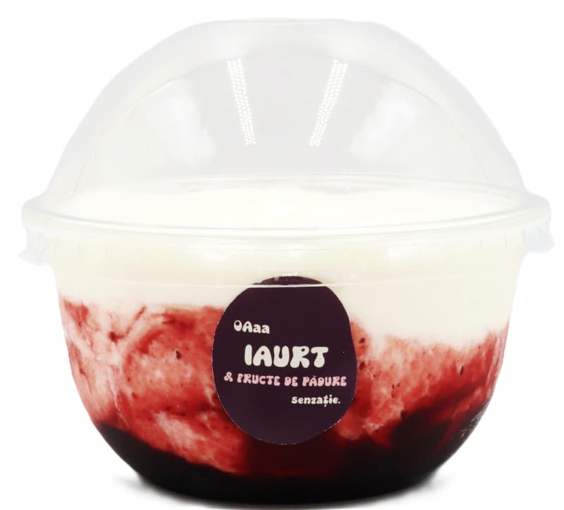 INGHETATA ARTIZANALA IAURT & FRUCTE DE PADURE