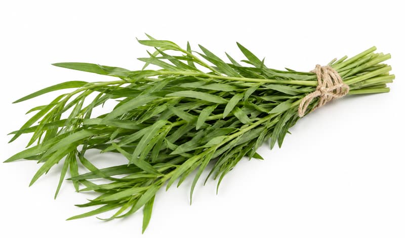 Ferma Sarai (in ECO conversion)Fresh Tarragon link