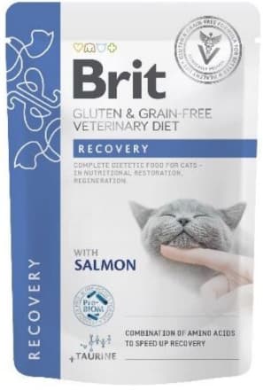 Brit Grain Free Recovery Wet cat food, for recovery, nutritional restoration