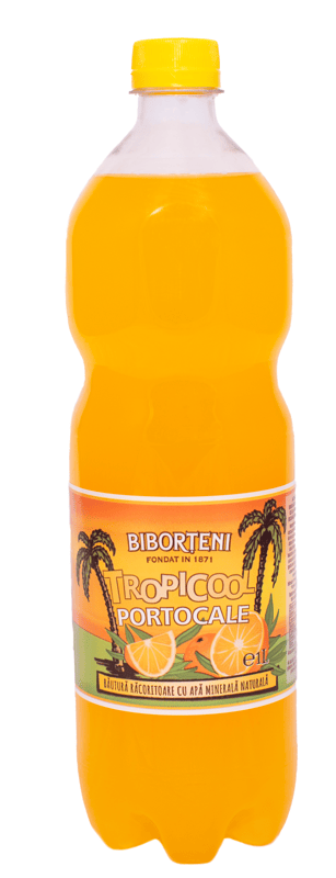 BIBORTENI TROPICOOL EXOTIC 1 L
