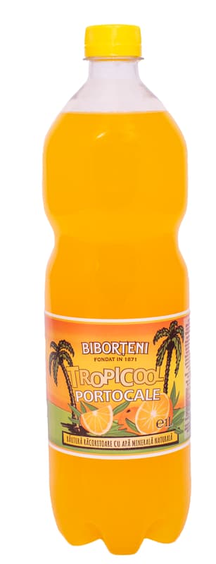 BIBORTENI TROPICOOL PORTOCALA 1 L