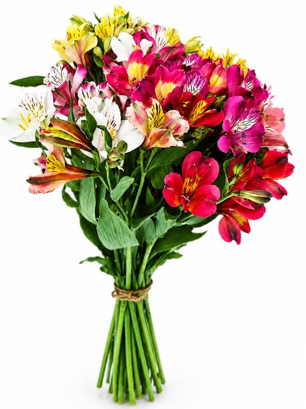 Floris Buchet de Alstroemeria 11 fire mix culori