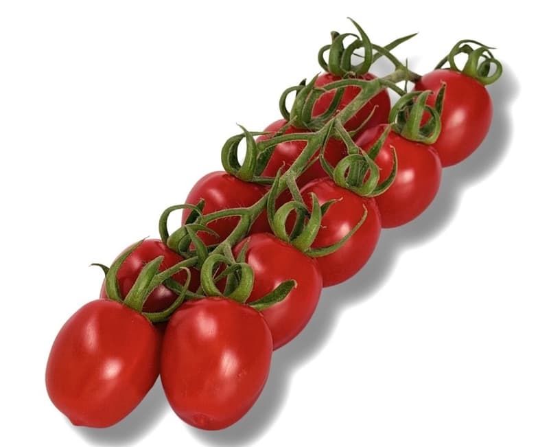 Rosii prunisoare pe ciorchine