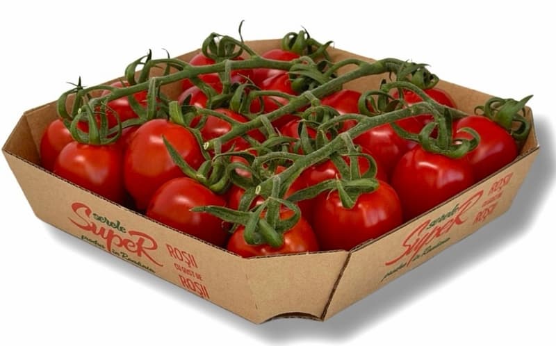 Rosii prunisoare pe ciorchine