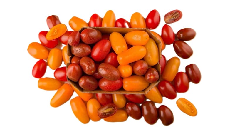 Cherry tomatoes bimix