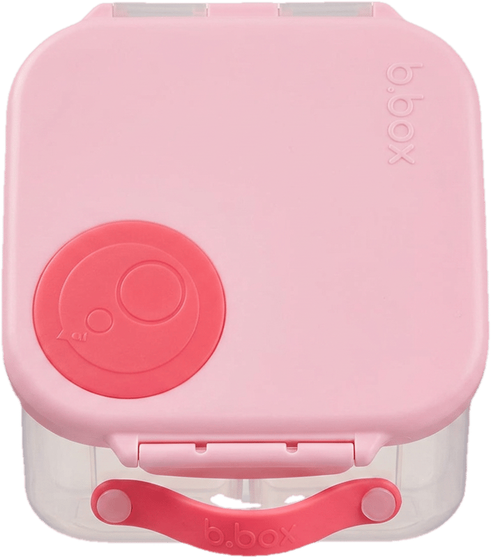 Mini Lunchbox
