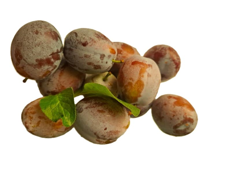 Livada cu Amintiri Prune