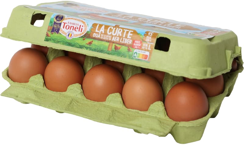 Toneli Carton Box 15 Free Range Eggs size L code 1