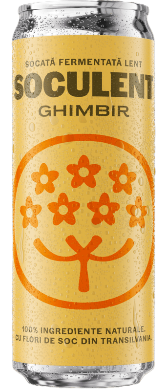 Soculent Ginger Carbonated Soft Drink