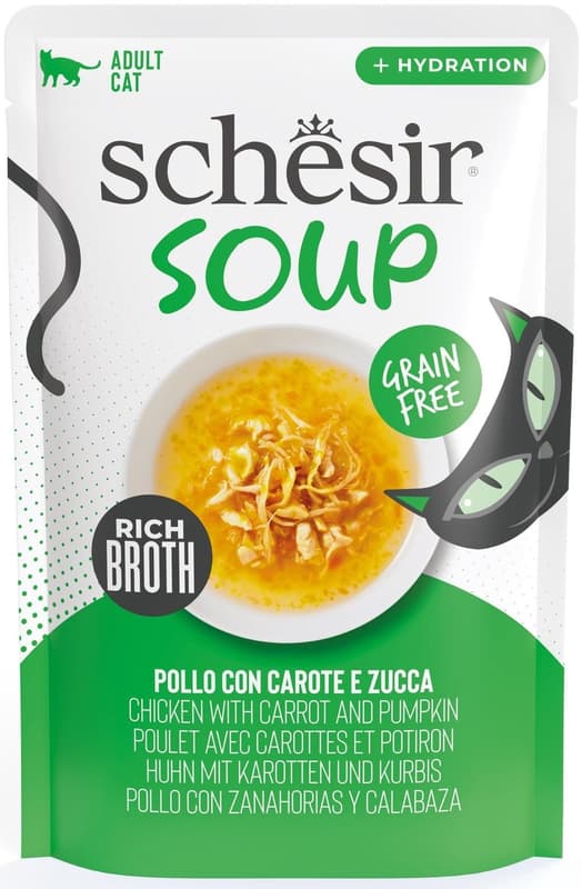 Schesir Supa cu pui si dovleac