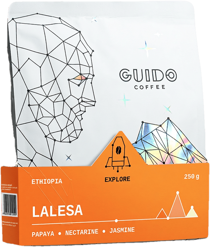 Guido Ethiopia Lalesa Coffee Beans
