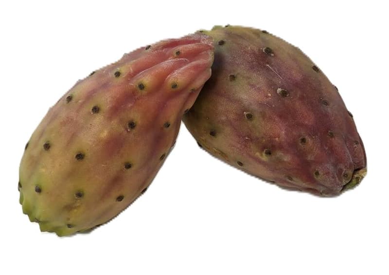 Fruct de cactus