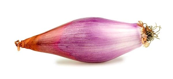 Ceapa de apa romaneasca