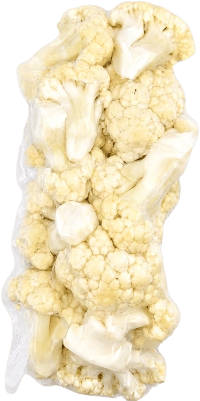 Conopida proaspata vidata