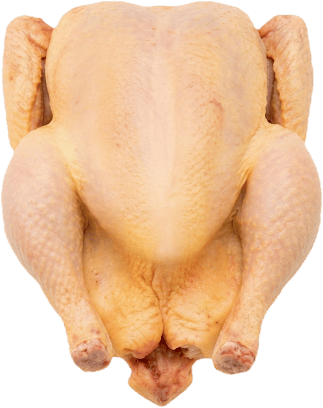 Ferma Vranceana Heavy breed chicken