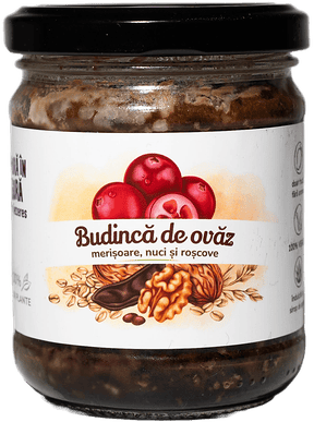 Iezeres x Mura In Gura Budinca de ovaz cu nuci, roscove si merisoare