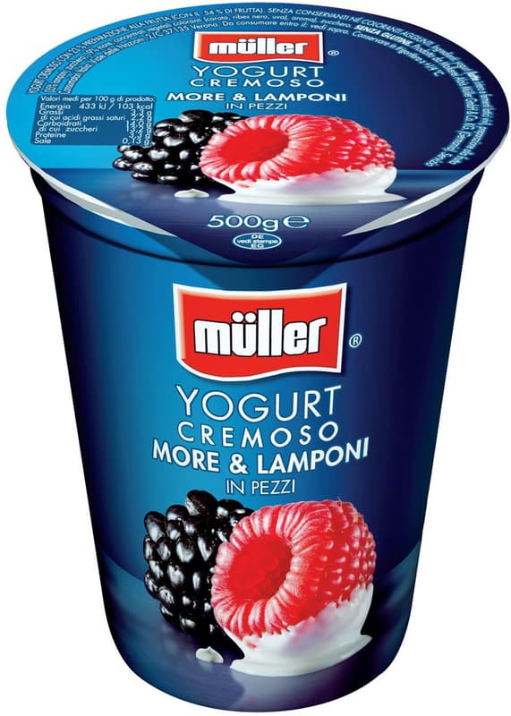 Muller Yogurt with blackberries and raspberries
