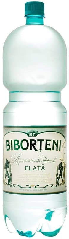 Biborteni Still Mineral Water