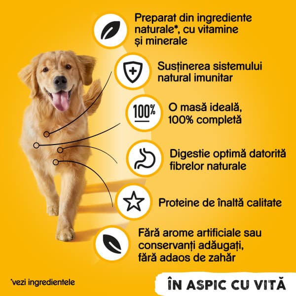Pedigree Hrana umeda pentru caini adulti cu bucati de vita in jeleu