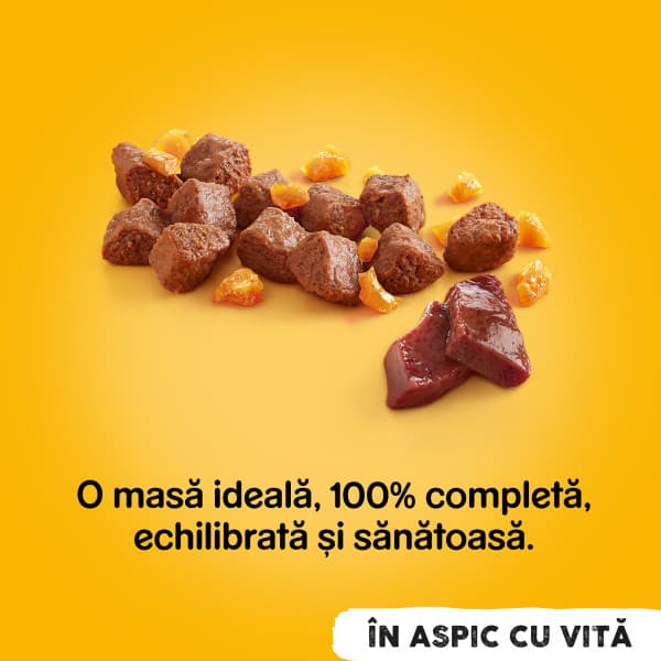 Pedigree Hrana umeda pentru caini adulti cu bucati de vita in jeleu