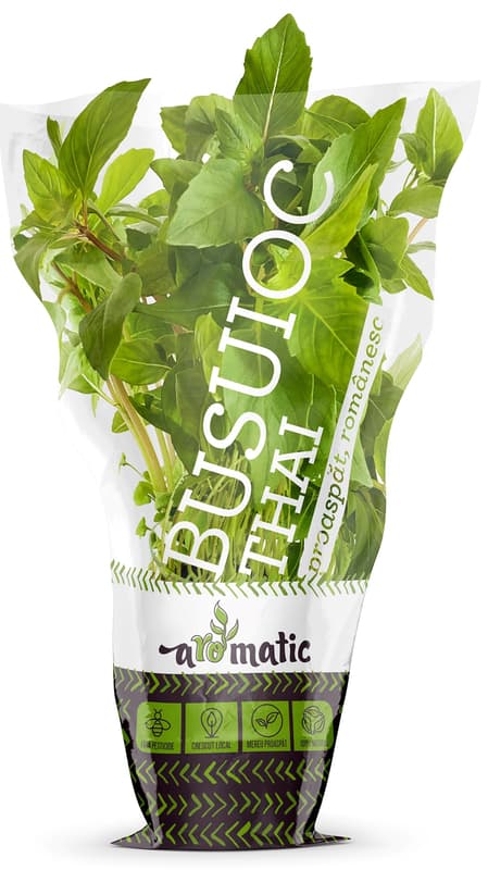 Thai Basil in Biodegradable pot