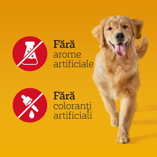 Pedigree Biscrok Original Hrana complementara pentru caini adulti
