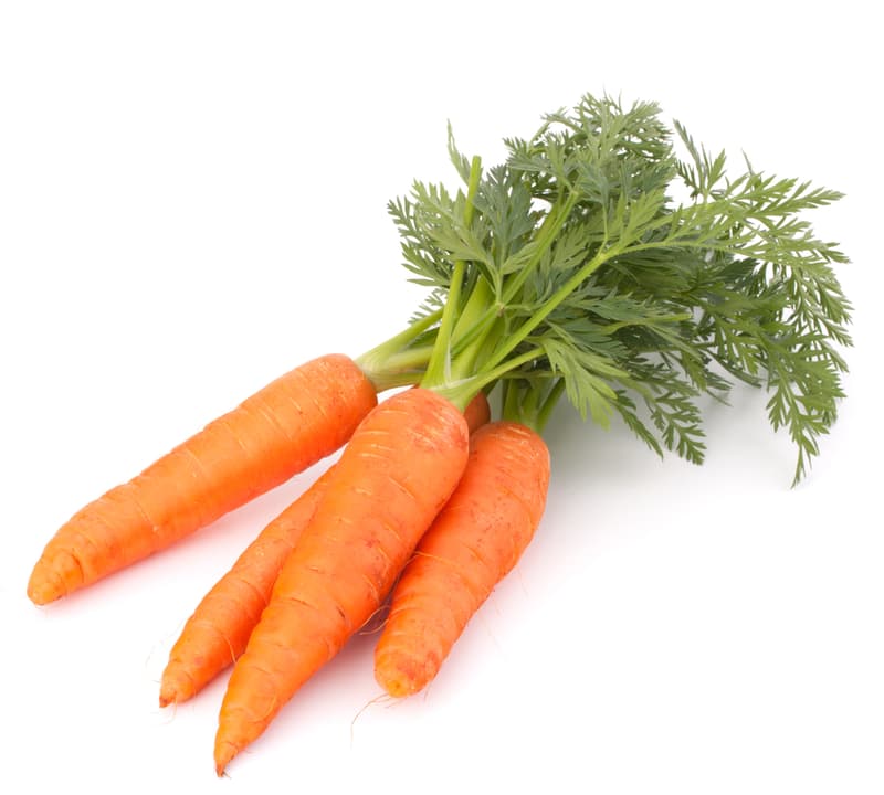 Carrots bunch