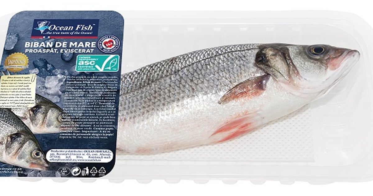 Ocean Fish Biban de mare eviscerat