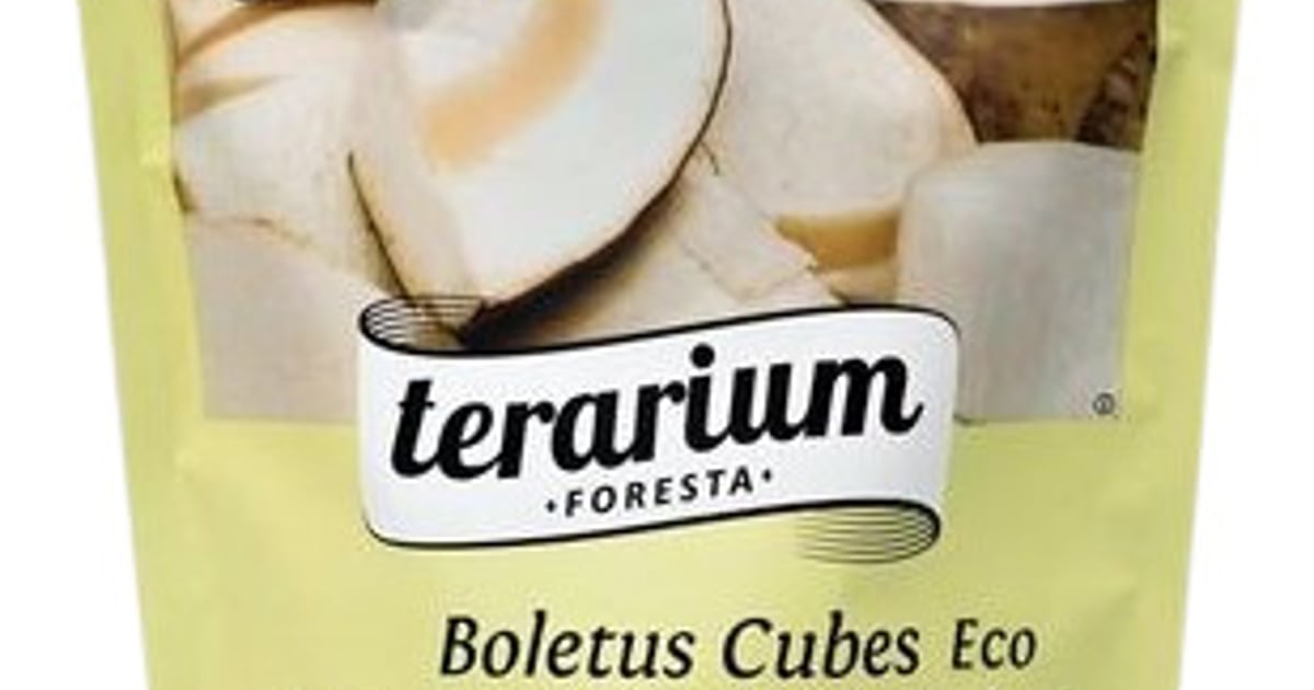 Terarium Foresta ECO Hribi